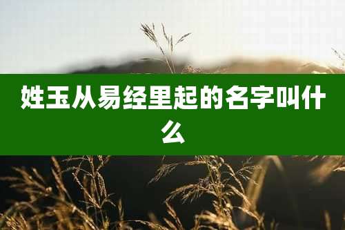 姓玉从易经里起的名字叫什么