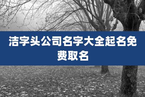 洁字头公司名字大全起名免费取名