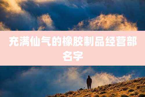 充满仙气的橡胶制品经营部名字