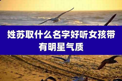 姓苏取什么名字好听女孩带有明星气质