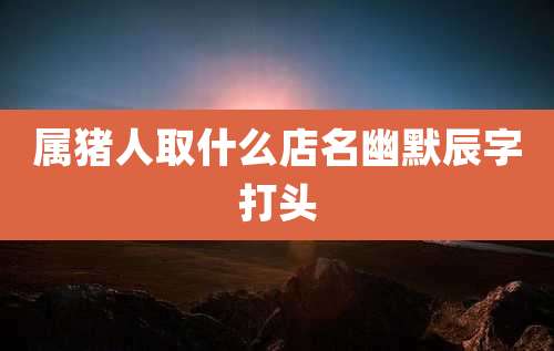 属猪人取什么店名幽默辰字打头