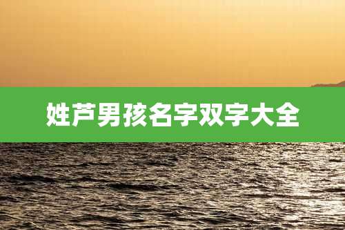 姓芦男孩名字双字大全