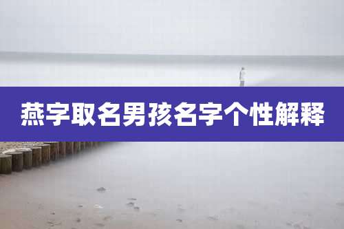 燕字取名男孩名字个性解释