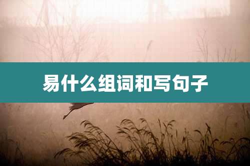 易什么组词和写句子