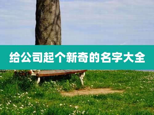 给公司起个新奇的名字大全