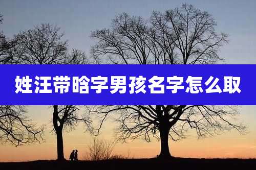 姓汪带晗字男孩名字怎么取