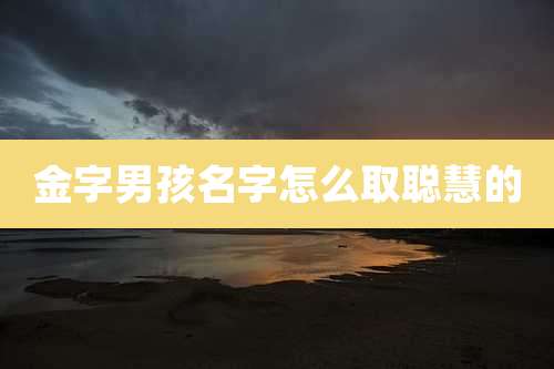 金字男孩名字怎么取聪慧的