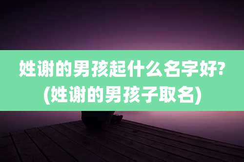 姓谢的男孩起什么名字好?(姓谢的男孩子取名)