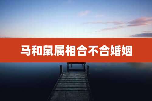 马和鼠属相合不合婚姻