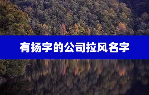 有扬字的公司拉风名字