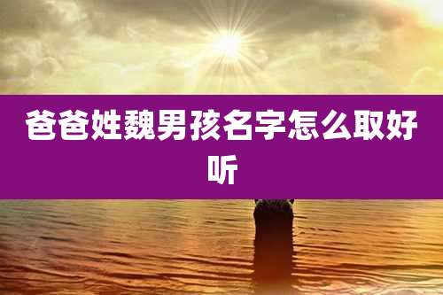 爸爸姓魏男孩名字怎么取好听
