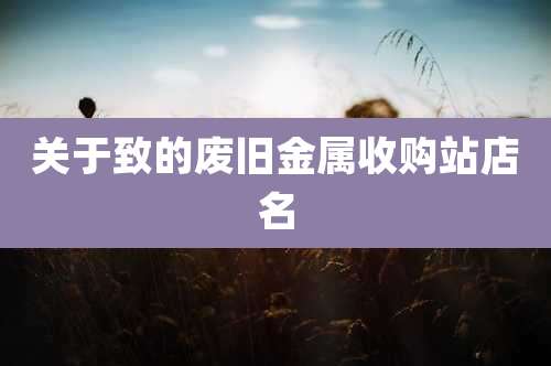 关于致的废旧金属收购站店名
