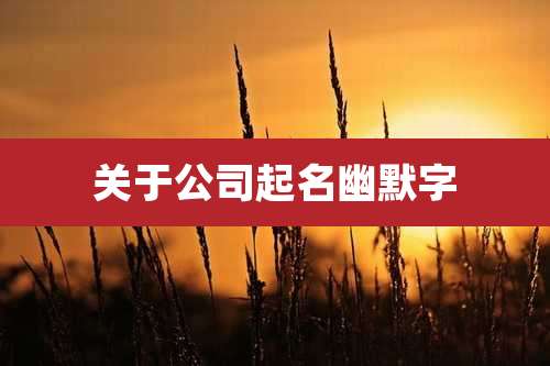 关于公司起名幽默字