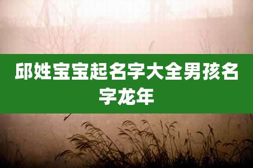 邱姓宝宝起名字大全男孩名字龙年