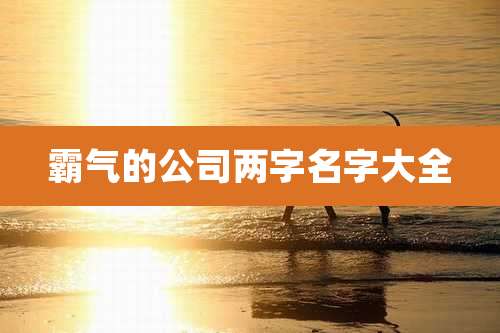 霸气的公司两字名字大全
