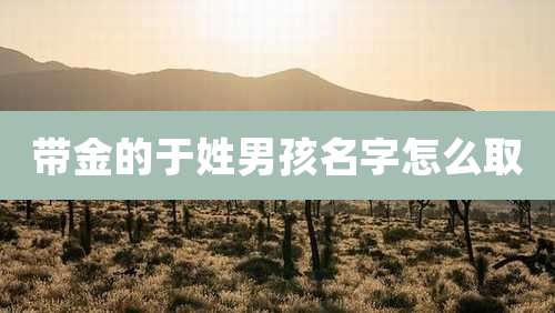 带金的于姓男孩名字怎么取