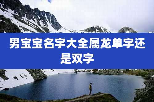 男宝宝名字大全属龙单字还是双字