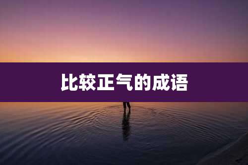 比较正气的成语