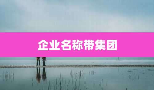 企业名称带集团