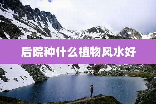 后院种什么植物风水好