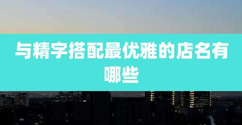 与精字搭配最优雅的店名有哪些
