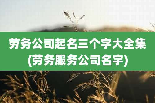 劳务公司起名三个字大全集(劳务服务公司名字)