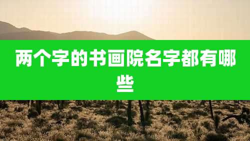 两个字的书画院名字都有哪些
