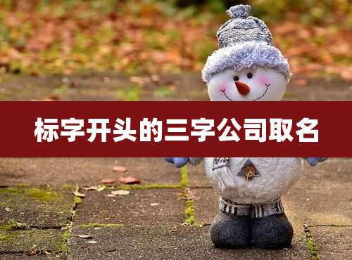 标字开头的三字公司取名