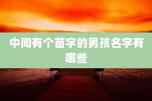 中间有个苗字的男孩名字有哪些
