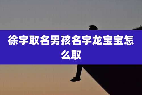 徐字取名男孩名字龙宝宝怎么取