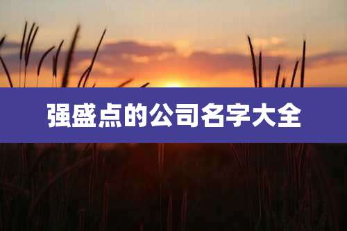 强盛点的公司名字大全