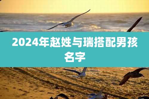 2024年赵姓与瑞搭配男孩名字