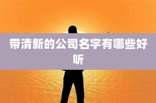 带清新的公司名字有哪些好听