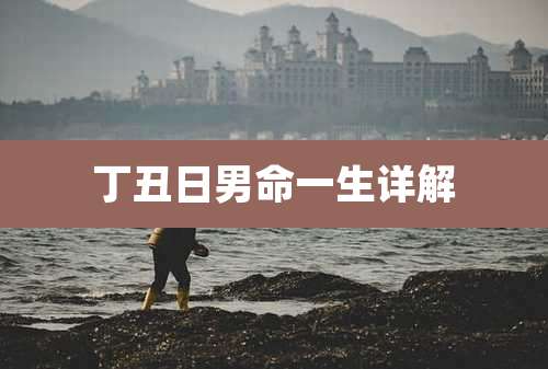 丁丑日男命一生详解