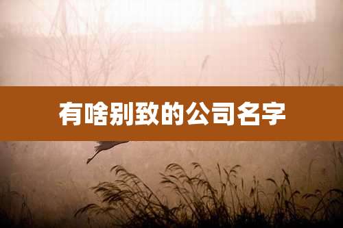有啥别致的公司名字