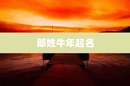 郎姓牛年起名