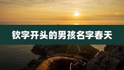钦字开头的男孩名字春天