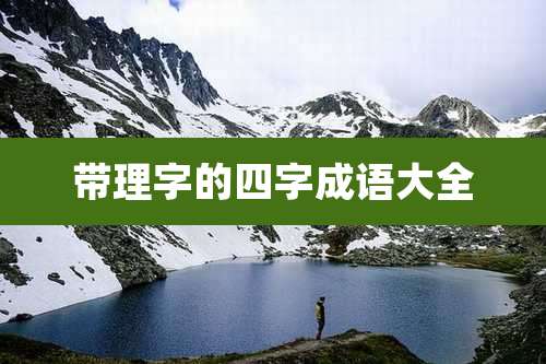 带理字的四字成语大全