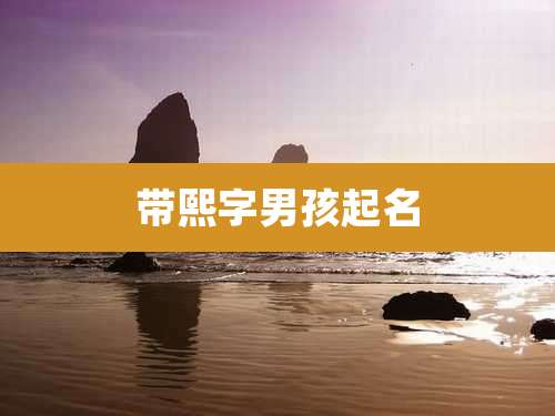 带熙字男孩起名