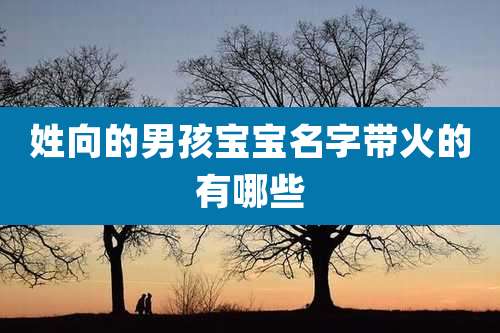 姓向的男孩宝宝名字带火的有哪些