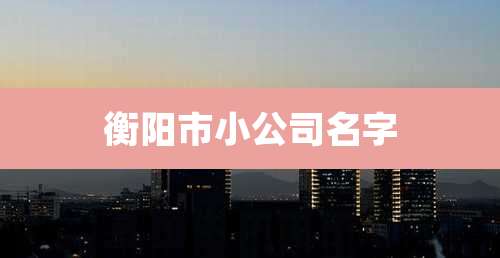 衡阳市小公司名字