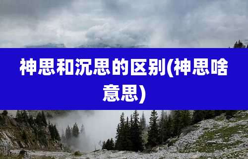 神思和沉思的区别(神思啥意思)