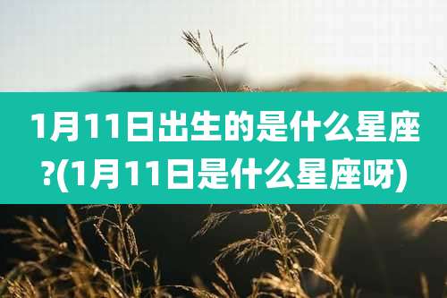 1月11日出生的是什么星座?(1月11日是什么星座呀)