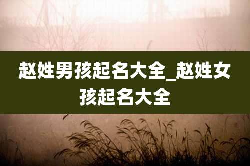 赵姓男孩起名大全_赵姓女孩起名大全