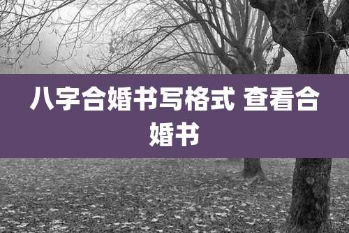 八字合婚书写格式 查看合婚书