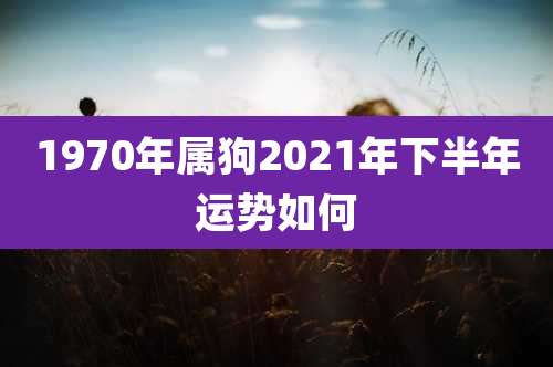 1970年属狗2021年下半年运势如何