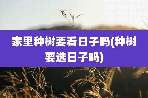家里种树要看日子吗(种树要选日子吗)