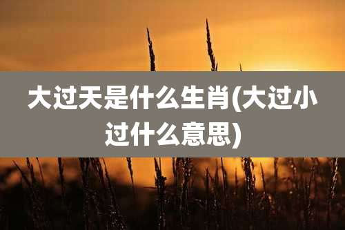 大过天是什么生肖(大过小过什么意思)