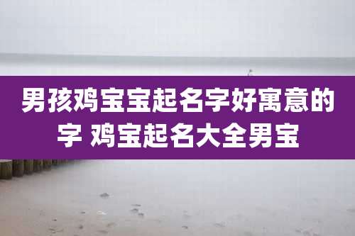 男孩鸡宝宝起名字好寓意的字 鸡宝起名大全男宝