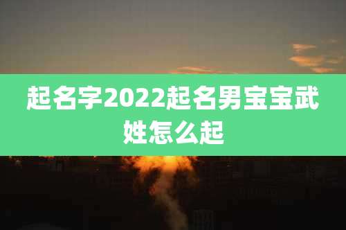 起名字2022起名男宝宝武姓怎么起